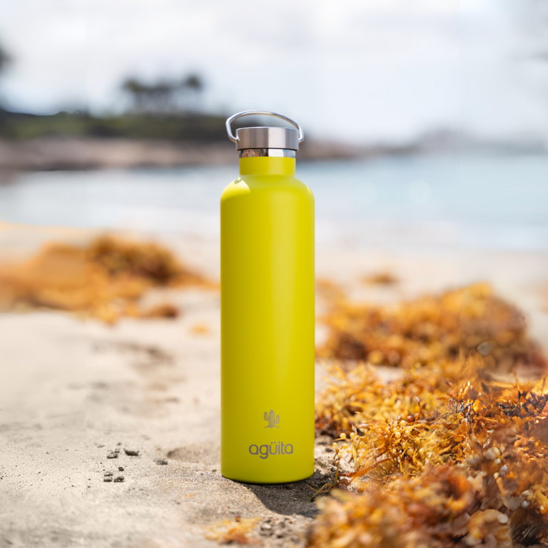 THERMO WATER BOTTLE