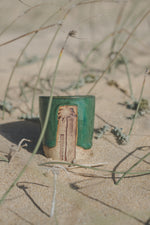 FUERTEVENTURA PALM CUP