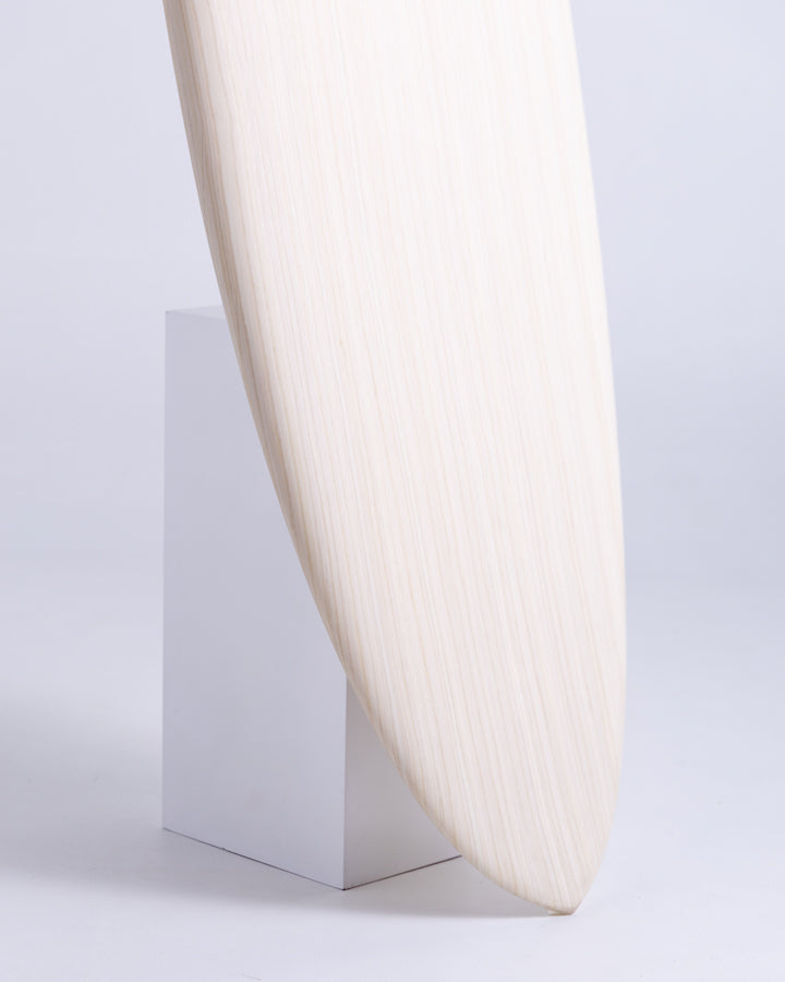 ALOHA FUN ECO SURFBOARD