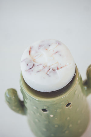 SUN + MOON WAX MELT